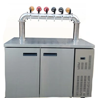 Cooling system with taps and installation(6 beer taps)